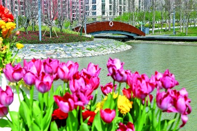 上海市普陀区：苏州河的故事(图3)