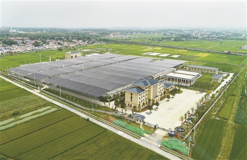 鹏华碳中和主题混合A(图1)