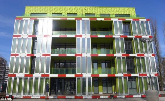 中国能建承建、投资一批光伏发电项目并网(图1)
