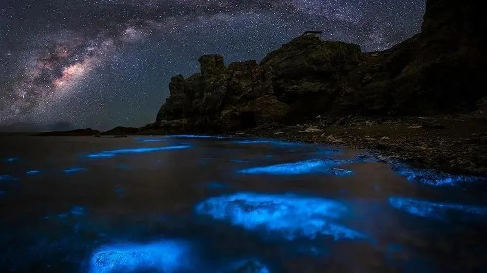 换个姿势看浙江！这次我们坐船出发(图24)