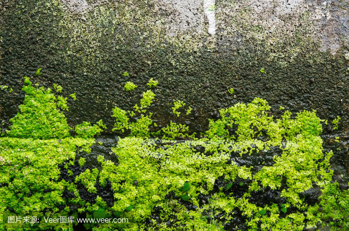 以创新技术领跑建筑绿色发展-气膜建筑(图1)