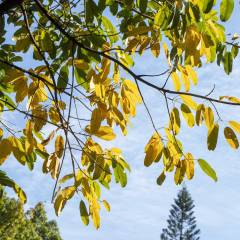 2024年绿色建筑技术学什么专业(图2)