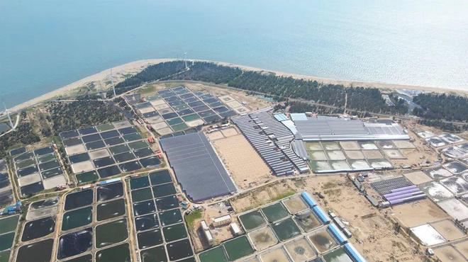 破局沿海渔业用电困境！思格光储方案以模块化技术筑牢能源保障(图4)