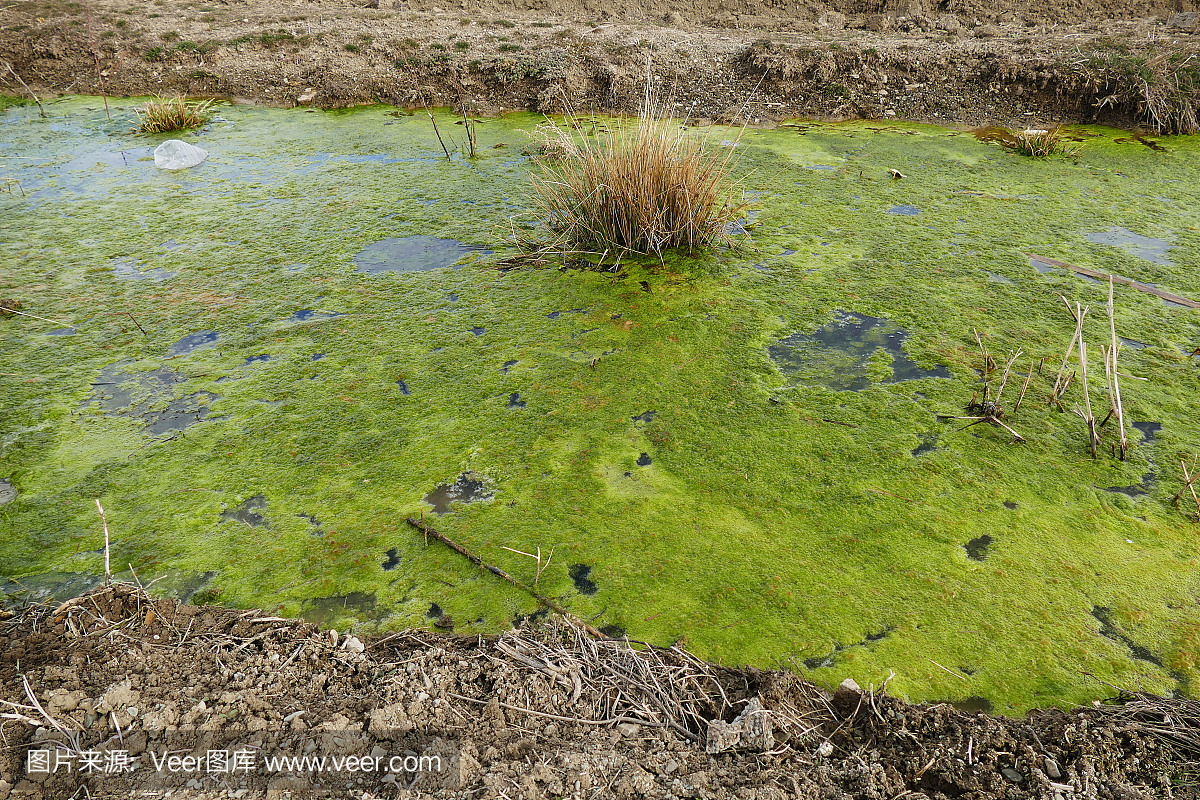 建筑绿色施工技术培训课件ppt(图1)