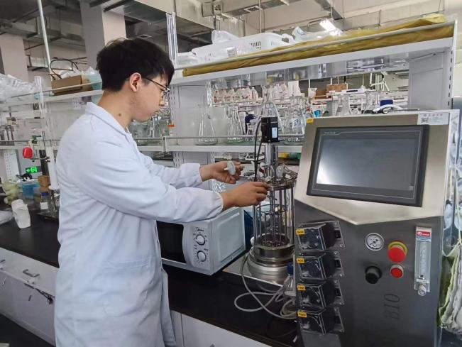 新疆荒漠化治理迈入新阶段：绿藻技术引领生态修复新潮流(图3)