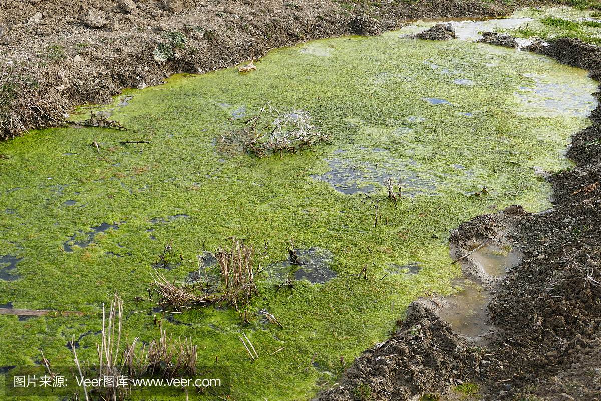 中华人民共和国渔业法（全文）(图1)
