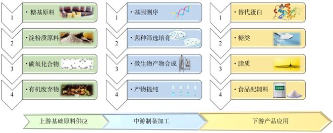 食品生物制造：从基础原料到配辅料的生产范式革新(图1)