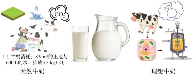 食品生物制造：从基础原料到配辅料的生产范式革新(图2)